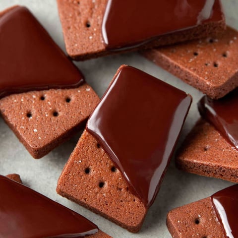 A close up of a chocolate covered shortbread cookie.
